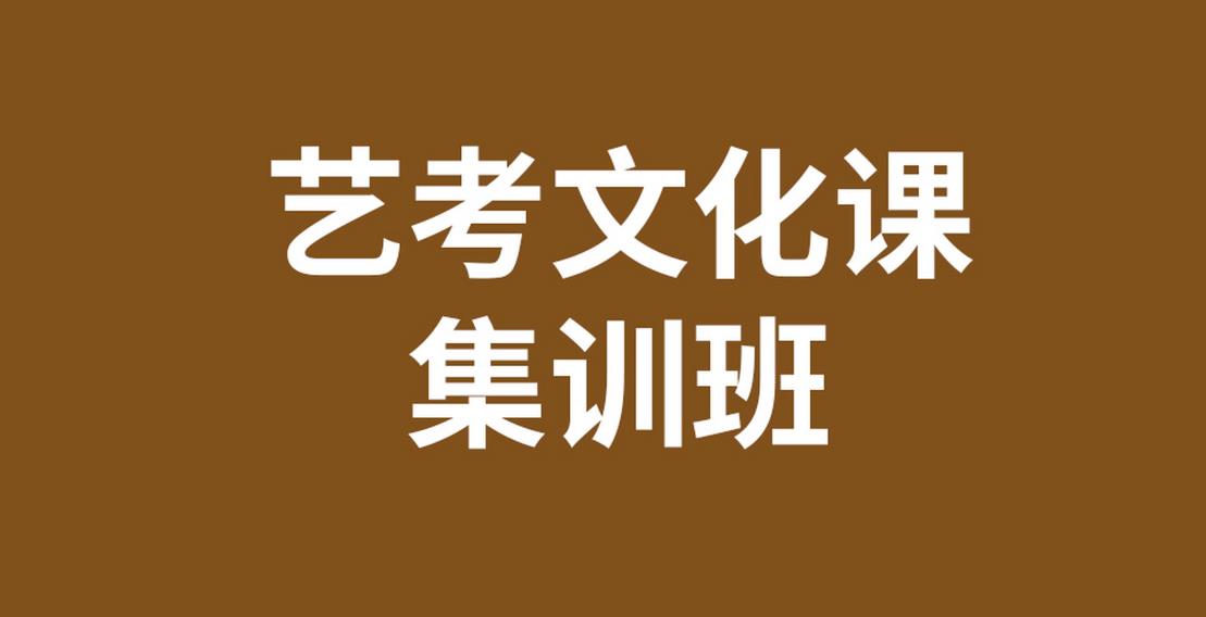 北京艺考文化课辅导冲刺班