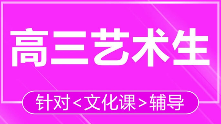 艺考文化课辅导冲刺班