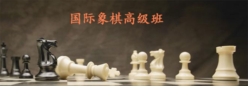 2025国际象棋培训班哪家好十大排名汇总