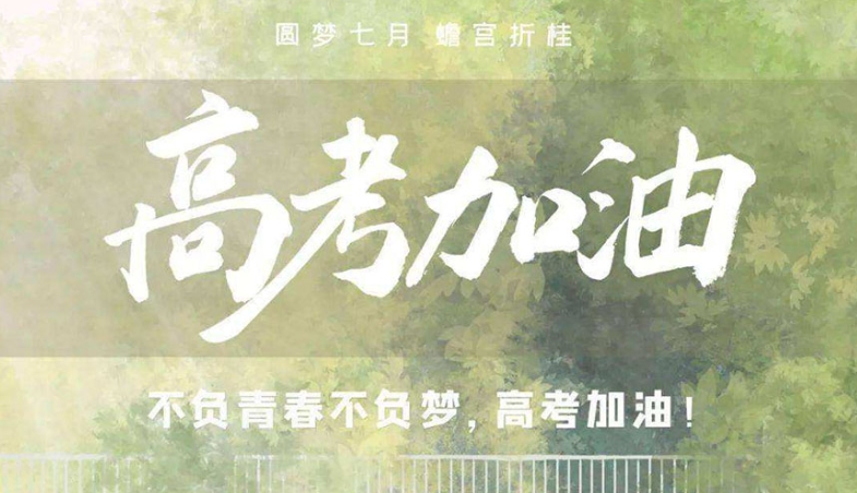 高考冲刺 高考冲刺