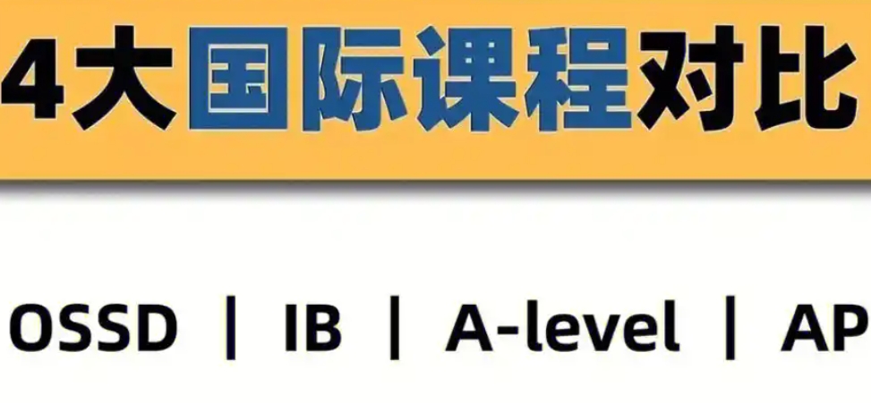 国际课程辅导