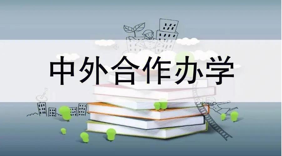 985/211国际本科项目申请与规划机构2025排名前十 985/211国际本科项目申请与规划机构2025排名前十