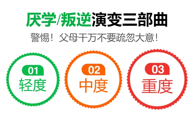 绍兴叛逆孩子网瘾戒除学校