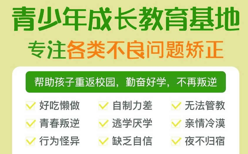 叛逆期戒网瘾
