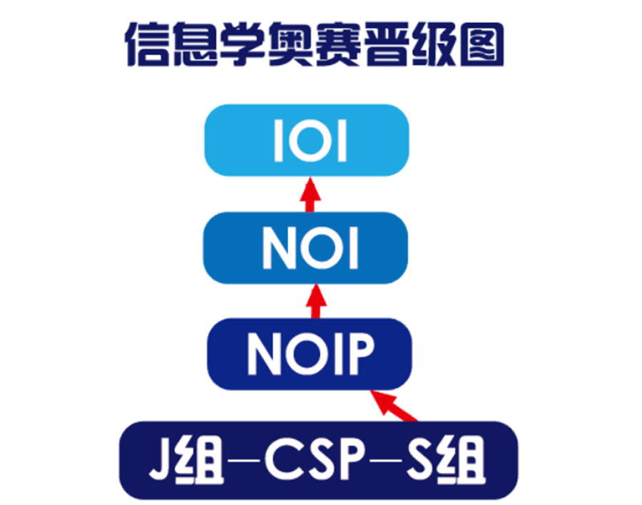 NOIP信奥赛编程培训