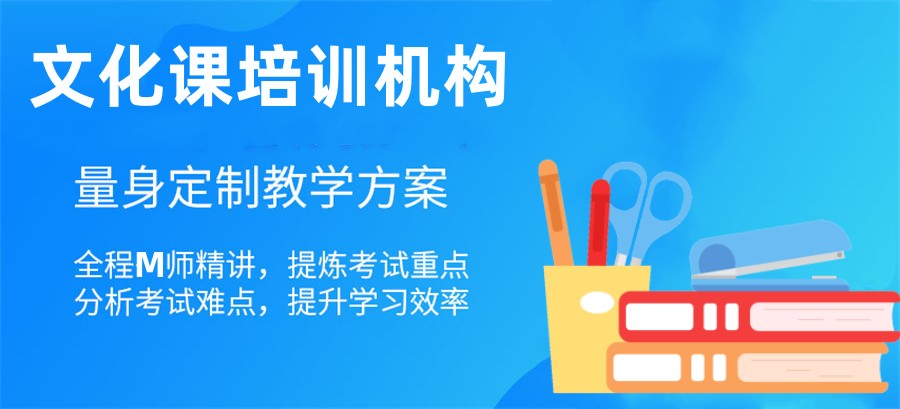 文化课辅导,辅导班 文化课辅导,辅导班