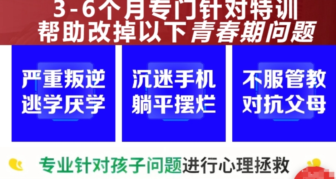 叛逆改造,封闭式叛逆学校
