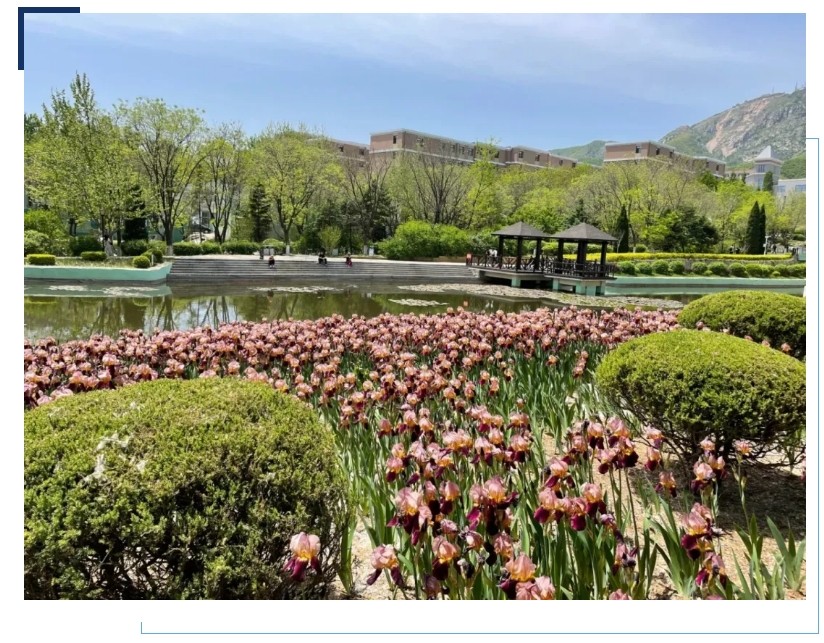 大连大学国际本科2+2