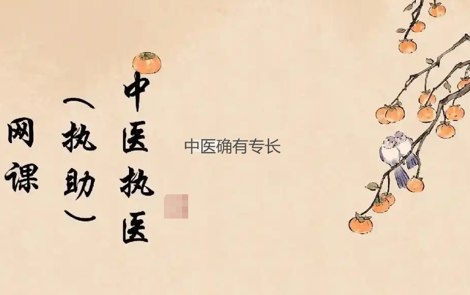中医确有专长,中医网课