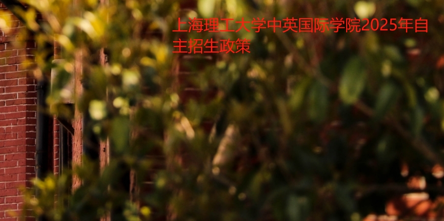 上海理工大学中英国际学院