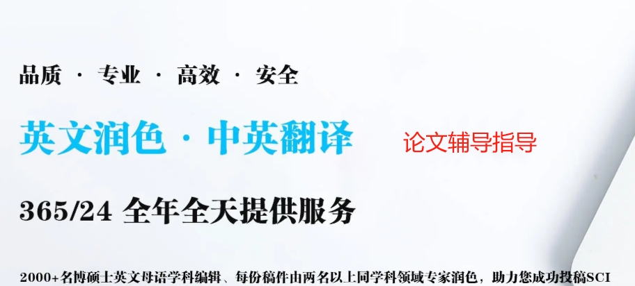 博士论文辅导,论文指导