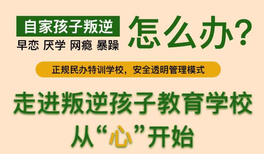 全封闭叛逆学校, 全封闭叛逆学校,