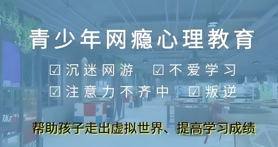 全封闭叛逆学校, 全封闭叛逆学校,