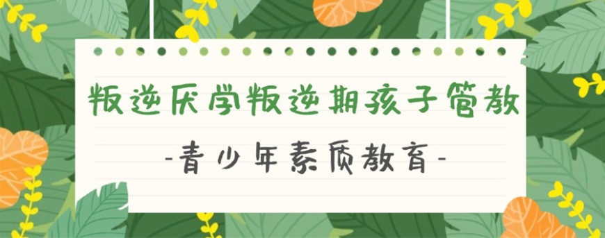 排名好的十大叛逆青少年戒网瘾特训学校口碑一览表
