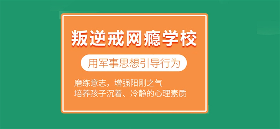 叛逆戒网瘾 叛逆戒网瘾