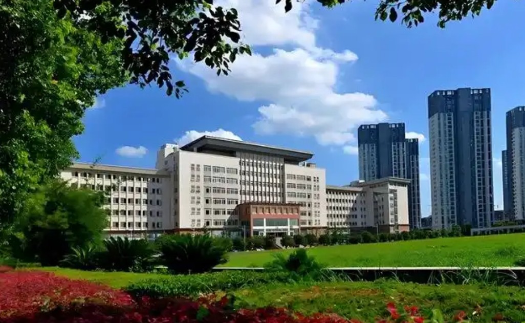 2025年武汉理工大学4+0国际本科中英艺术专业招生简章