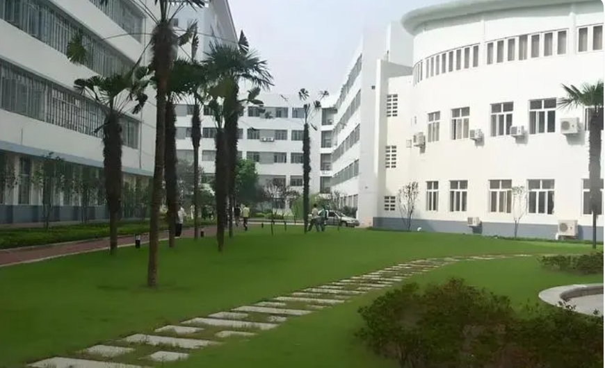 武汉理工大学中外合作办学4+0