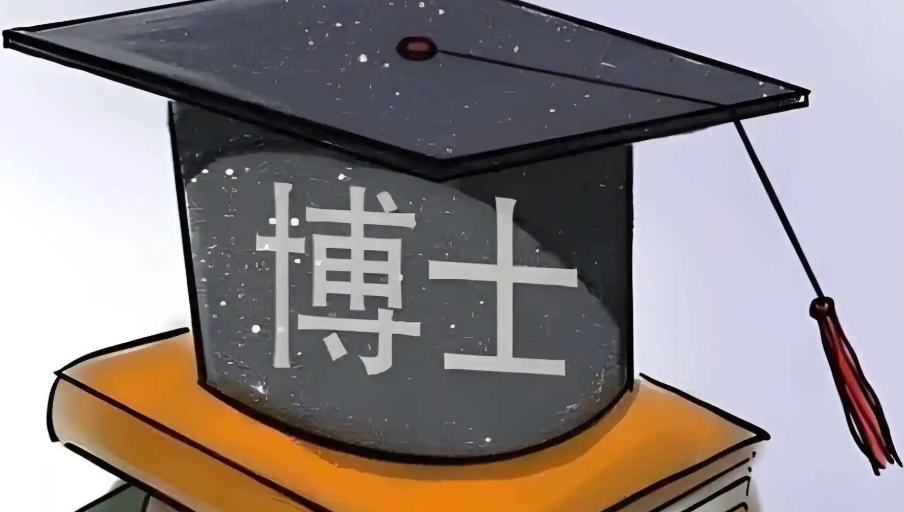 博士论文辅导 博士论文辅导