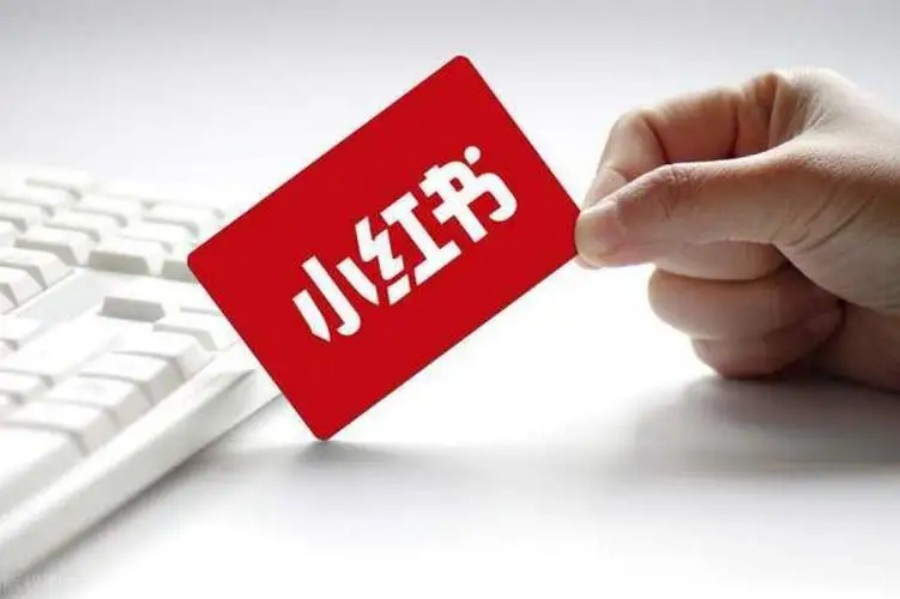 十大好的小红书直播电商运营培训机构top10名单