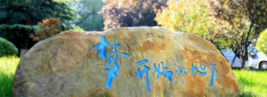 中央财经大学国际本科4+0