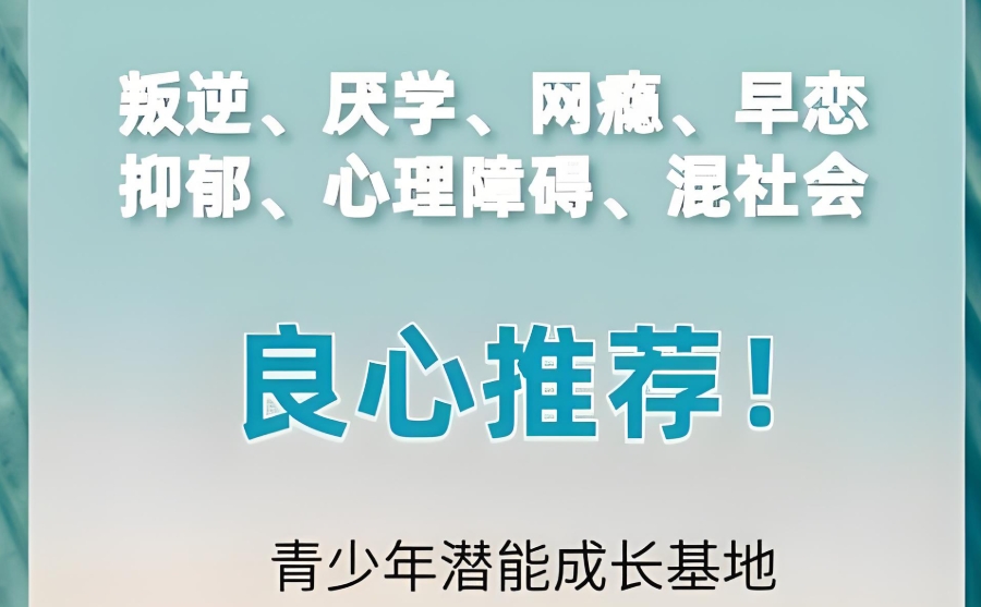 叛逆少年戒网瘾 叛逆少年戒网瘾