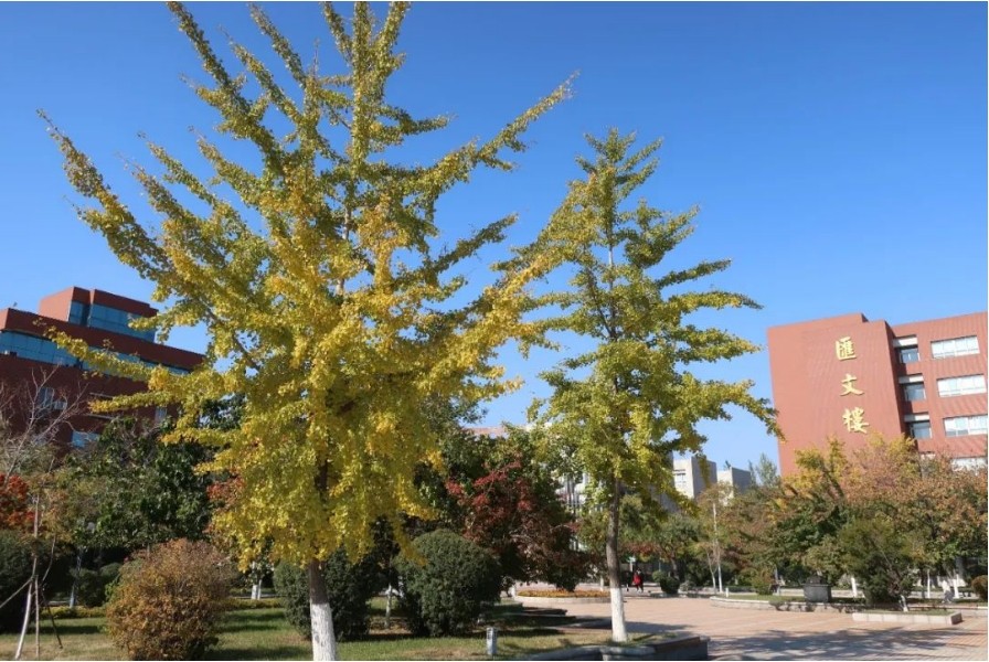 沈阳师范大学4+0项目 沈阳师范大学4+0项目