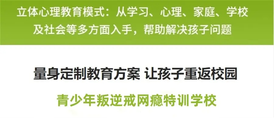 青少年网瘾戒除