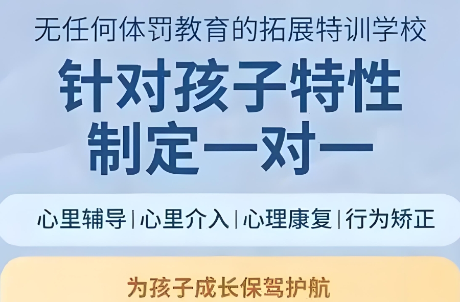叛逆网瘾特训