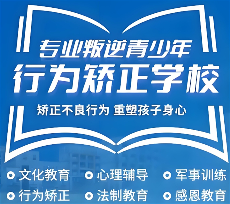 叛逆戒网瘾学校 叛逆戒网瘾学校
