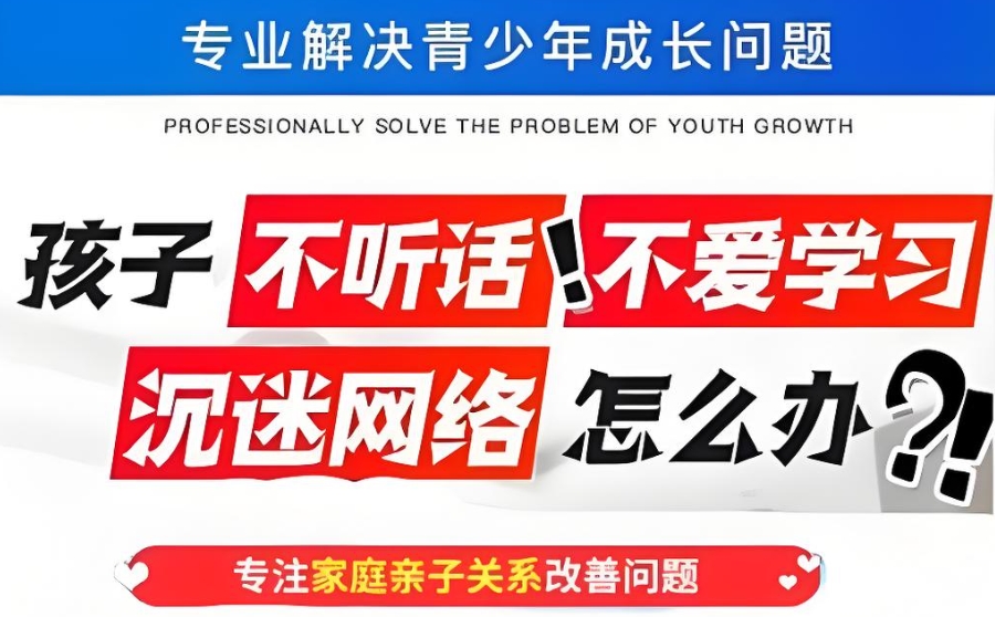 叛逆少年戒网瘾 叛逆少年戒网瘾