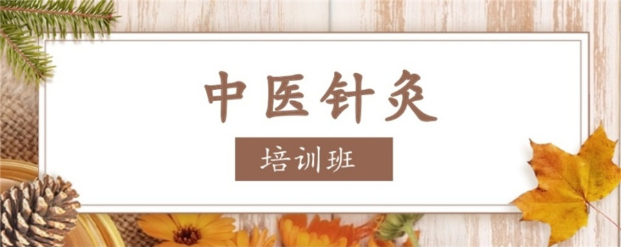 中医推拿按摩针灸培训学校