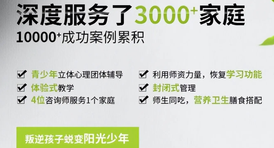 叛逆学校 叛逆学校