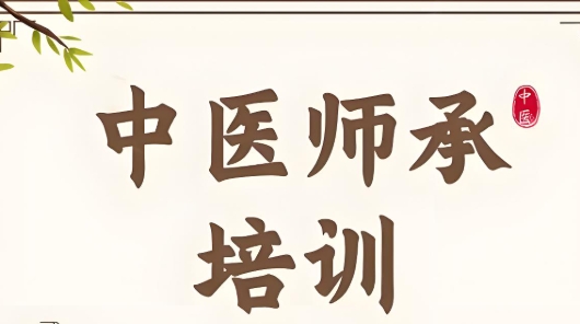 陕西top榜单排名前8的中医师承培训机构名单
