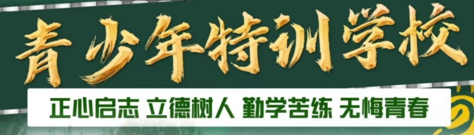 青少年叛逆戒网瘾 青少年叛逆戒网瘾