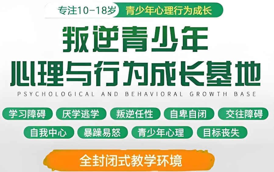 叛逆网瘾孩子戒除 叛逆网瘾孩子戒除