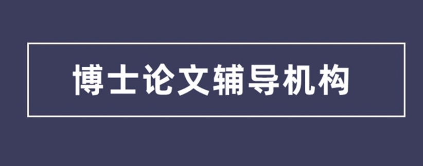 国内2025十大博士论文辅导指导机构实力排名榜g