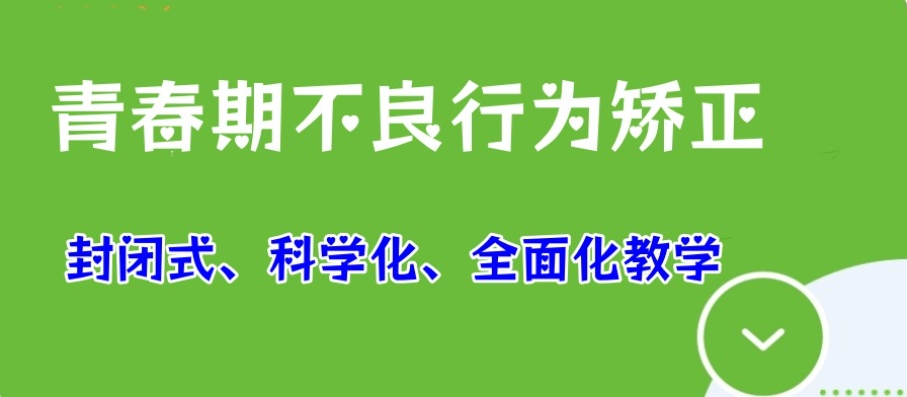 叛逆孩子教育