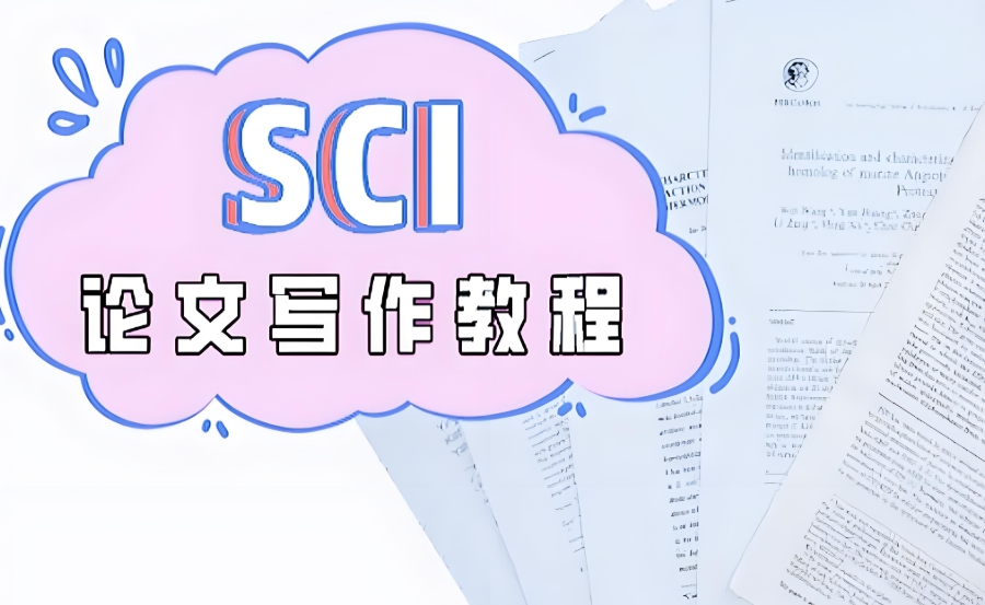 论文指导 论文指导