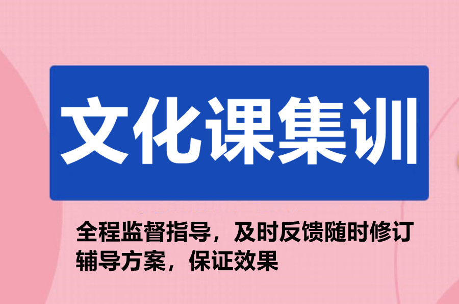 文化课集训