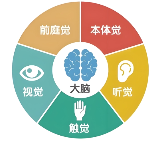 天津排行不错的感统失调儿童康复训练机构名单推荐 天津排行不错的感统失调儿童康复训练机构名单推荐