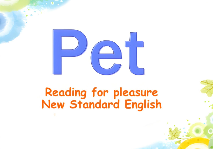 国内2025年度十大英语PET考试培训机构一览排行榜