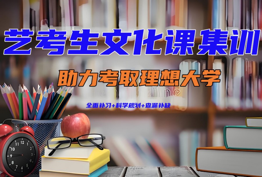沈阳高三艺术生文化课集训学校前十名