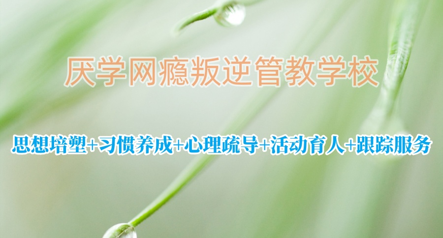 网瘾戒除青少年矫正学校 网瘾戒除青少年矫正学校