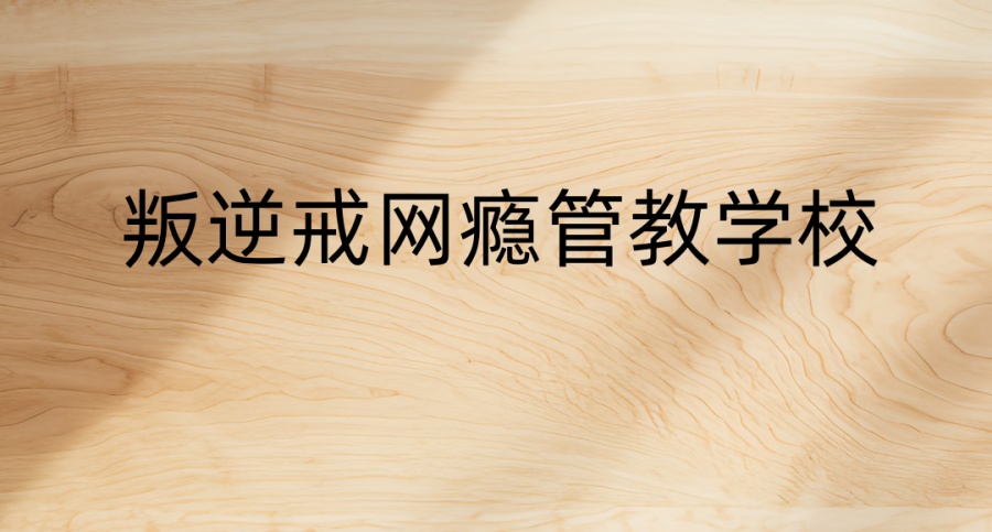 帮助有网瘾手机瘾孩子戒网瘾的学校