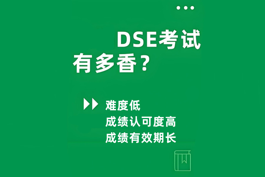 dse考试辅导