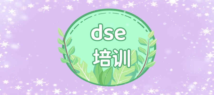 dse培训机构 dse培训机构