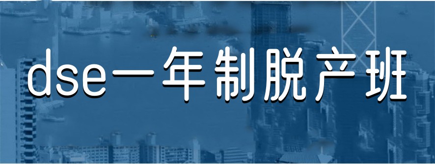 深圳dse培训机构