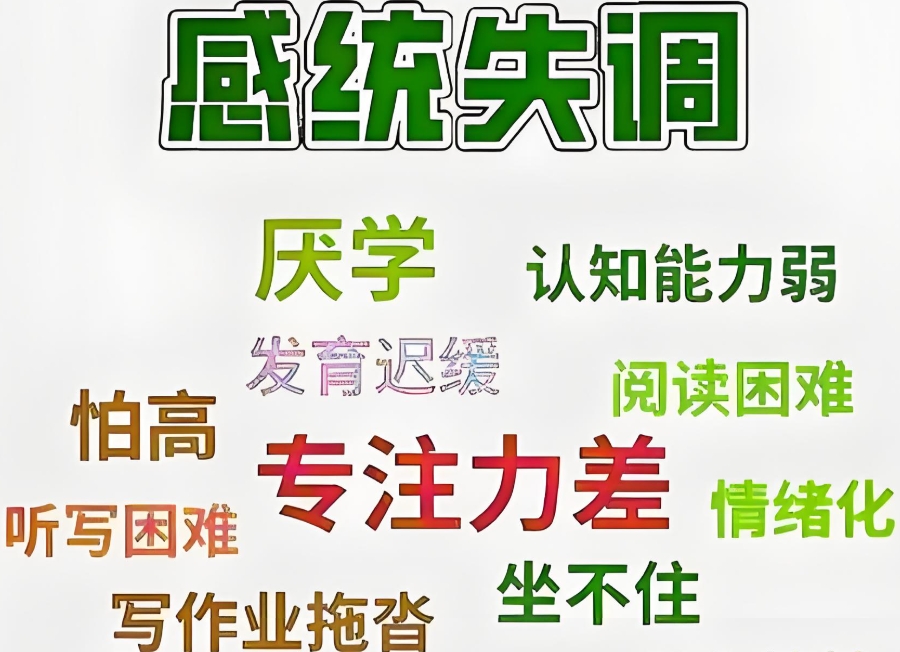 湖州专注力训练机构