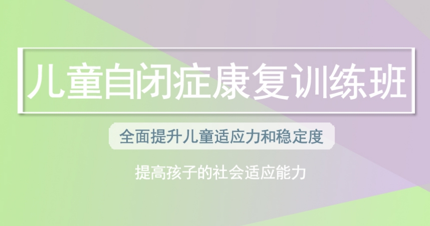 自闭症干预机构 自闭症干预机构