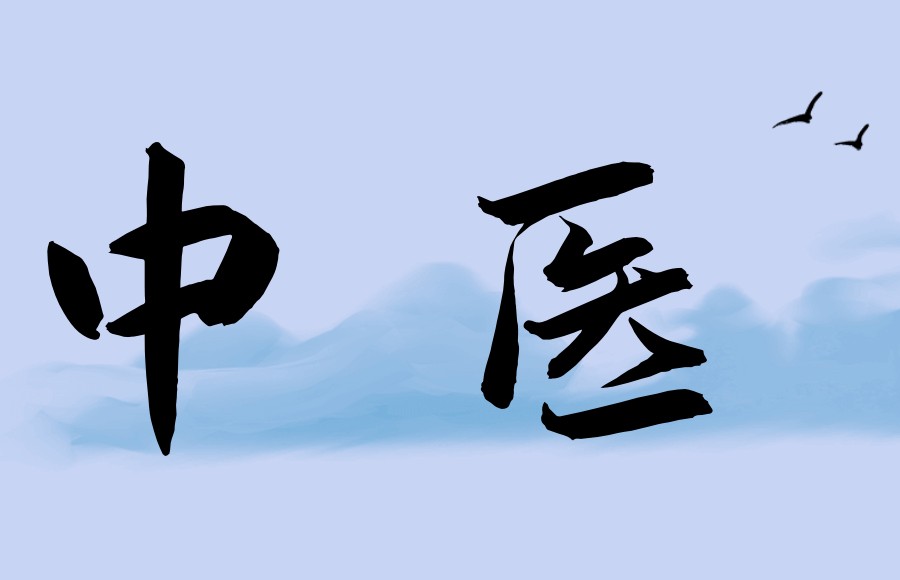 中医师承拿证培训班